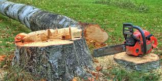 Best Tree Mulching  in Berwick, PA