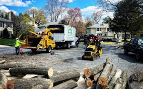 Best Tree Mulching  in Berwick, PA