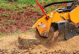 Best Soil Testing and Treatment  in Berwick, PA