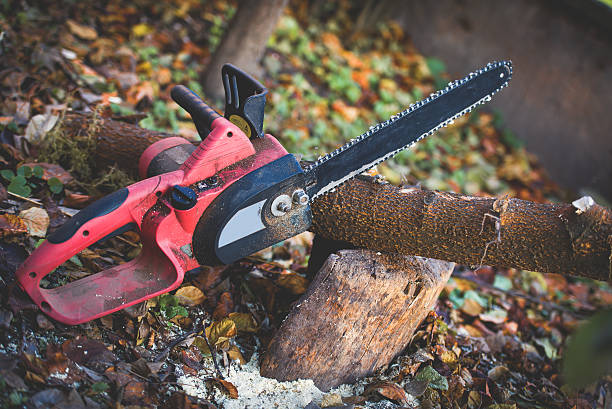Lawn Pest Prevention in Berwick, PA